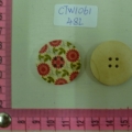 CTW1061