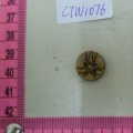 CTW1076