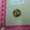 CTW1088
