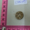 CTW1097