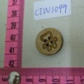 CTW1099