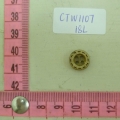 CTW1107