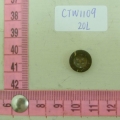 CTW1109
