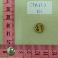 CTW1110