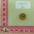CTW1113