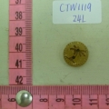 CTW1119