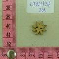 CTW1124