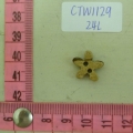 CTW1129