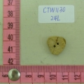 CTW1130