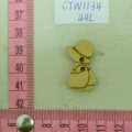 CTW1134