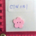 CTW1151