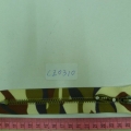 CZ0310